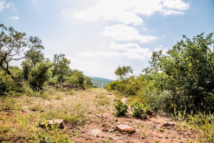 Commercial Property for Sale in Vaalwater Limpopo