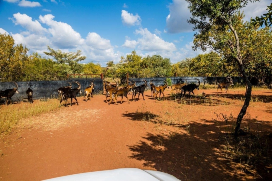 Commercial Property for Sale in Vaalwater Limpopo