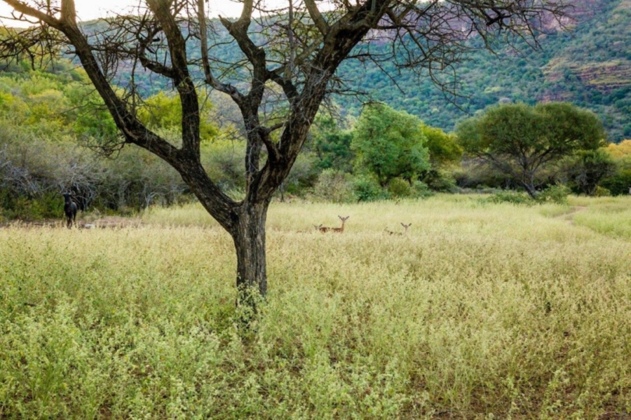 Commercial Property for Sale in Vaalwater Limpopo