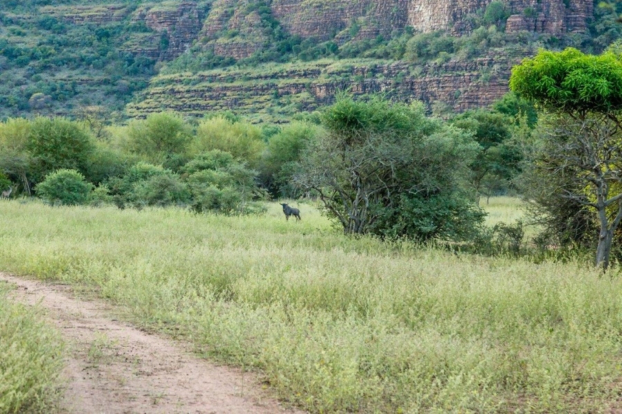 Commercial Property for Sale in Vaalwater Limpopo