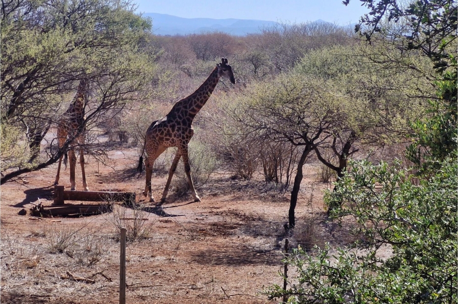 3 Bedroom Property for Sale in Northam Limpopo