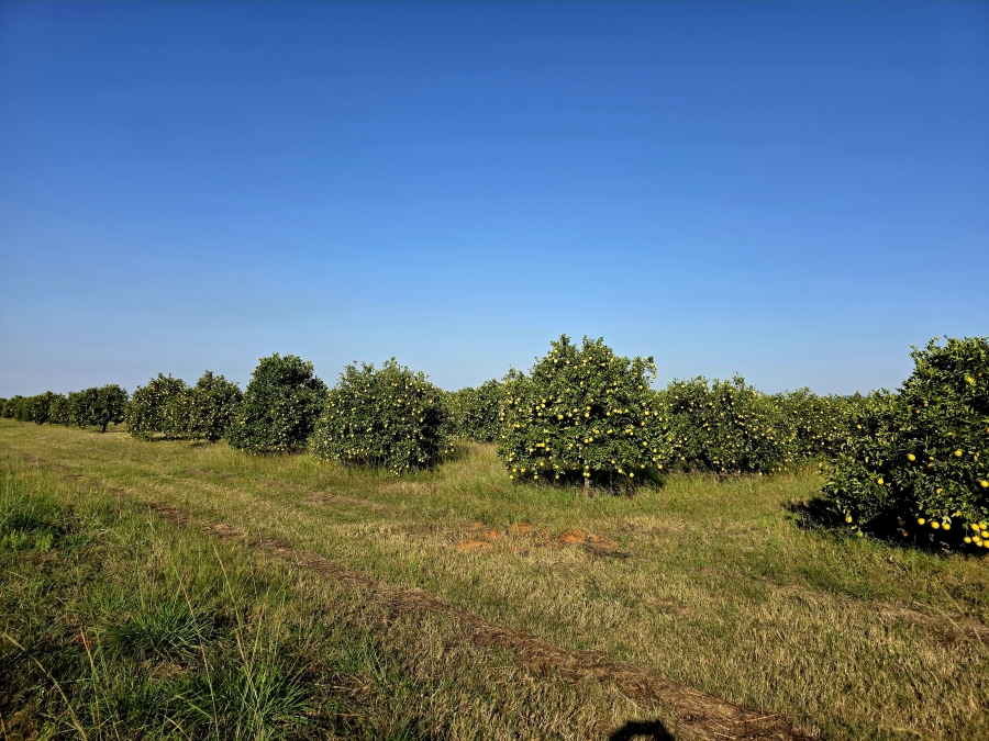 0 Bedroom Property for Sale in Mookgopong Limpopo