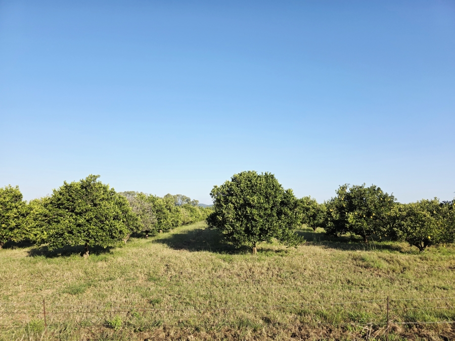 0 Bedroom Property for Sale in Mookgopong Limpopo