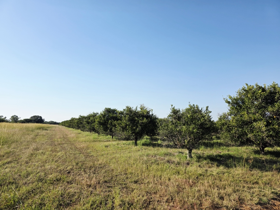 0 Bedroom Property for Sale in Mookgopong Limpopo