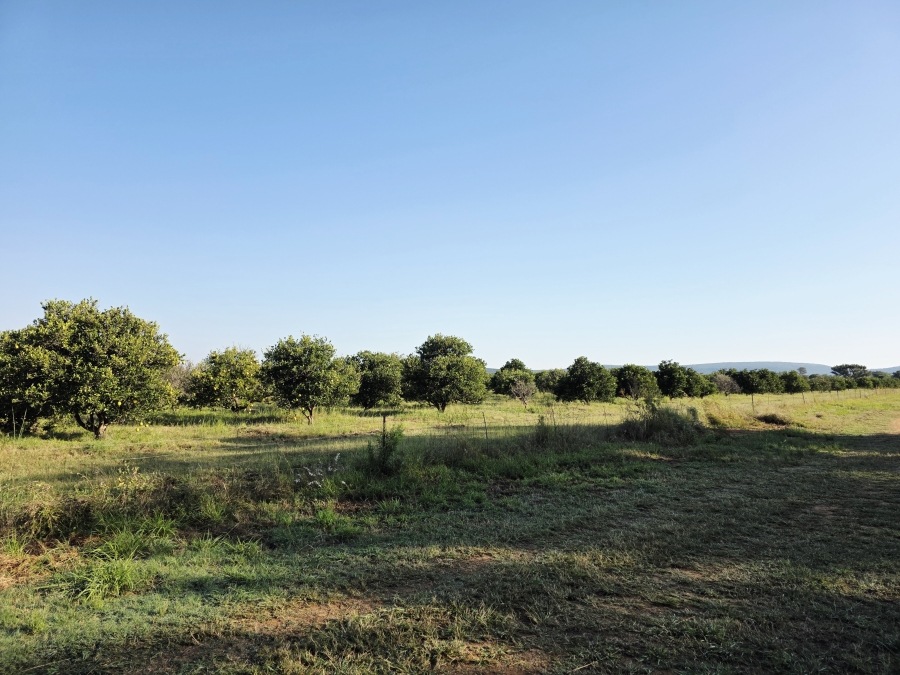0 Bedroom Property for Sale in Mookgopong Limpopo