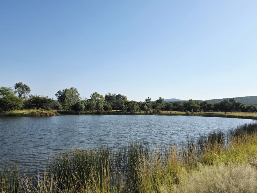 0 Bedroom Property for Sale in Mookgopong Limpopo