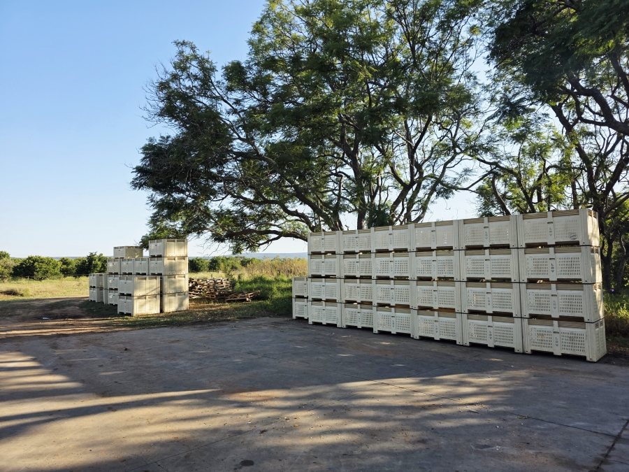 0 Bedroom Property for Sale in Mookgopong Limpopo