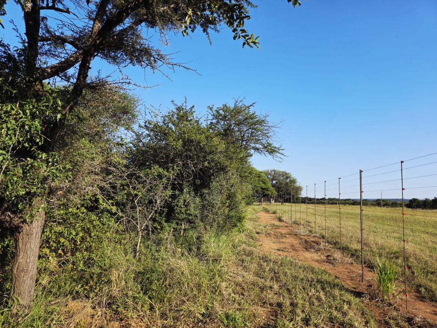 0 Bedroom Property for Sale in Mookgopong Limpopo