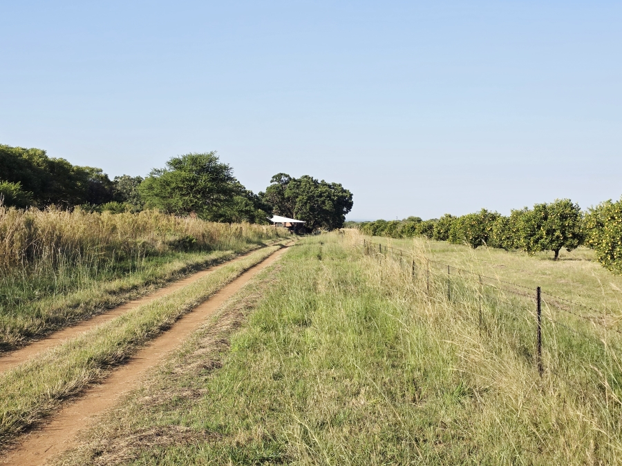 0 Bedroom Property for Sale in Mookgopong Limpopo