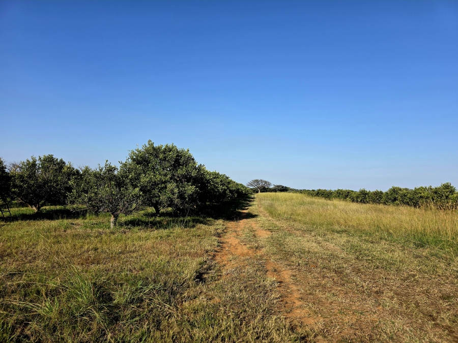 0 Bedroom Property for Sale in Mookgopong Limpopo
