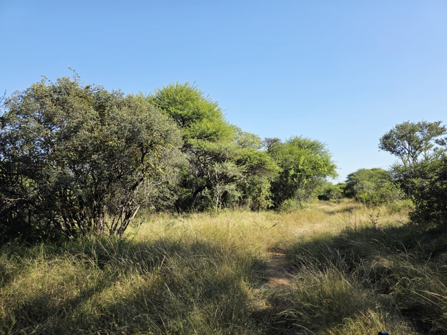 0 Bedroom Property for Sale in Mookgopong Limpopo