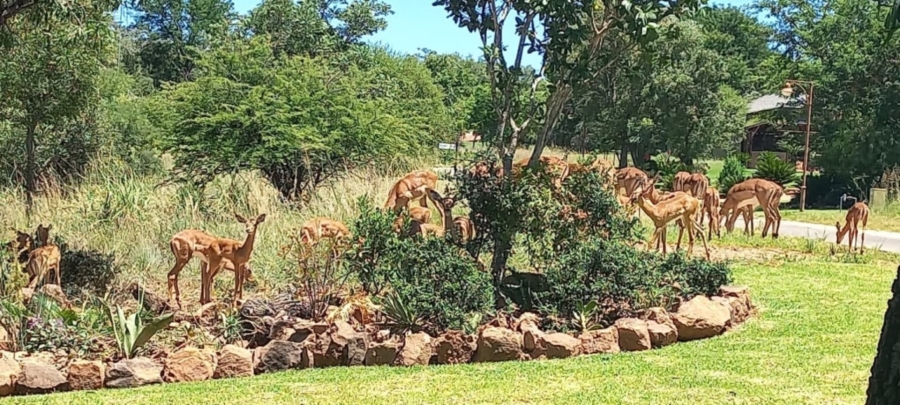 0 Bedroom Property for Sale in Koro Creek Golf Estate Limpopo