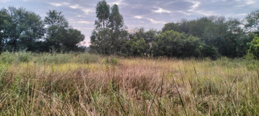 0 Bedroom Property for Sale in Koro Creek Golf Estate Limpopo