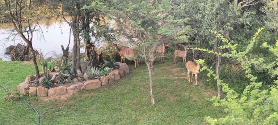 0 Bedroom Property for Sale in Koro Creek Golf Estate Limpopo