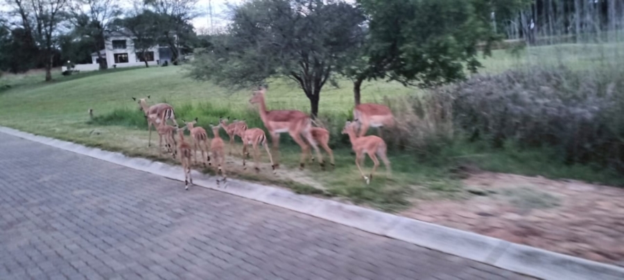 0 Bedroom Property for Sale in Koro Creek Golf Estate Limpopo