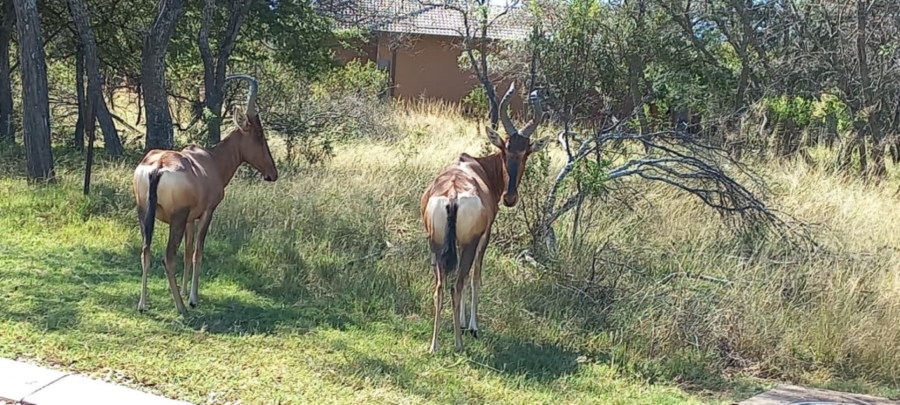 0 Bedroom Property for Sale in Koro Creek Golf Estate Limpopo