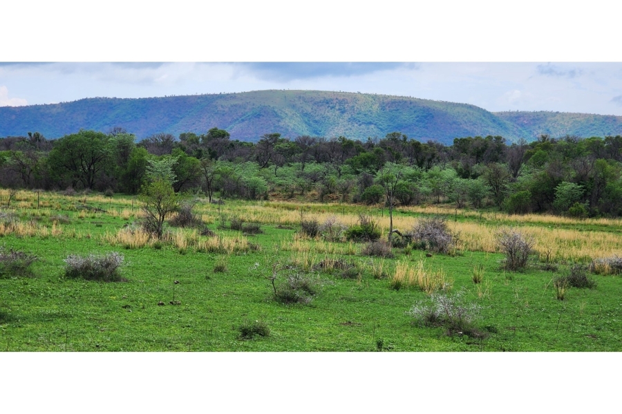 0 Bedroom Property for Sale in Leeupoort Limpopo