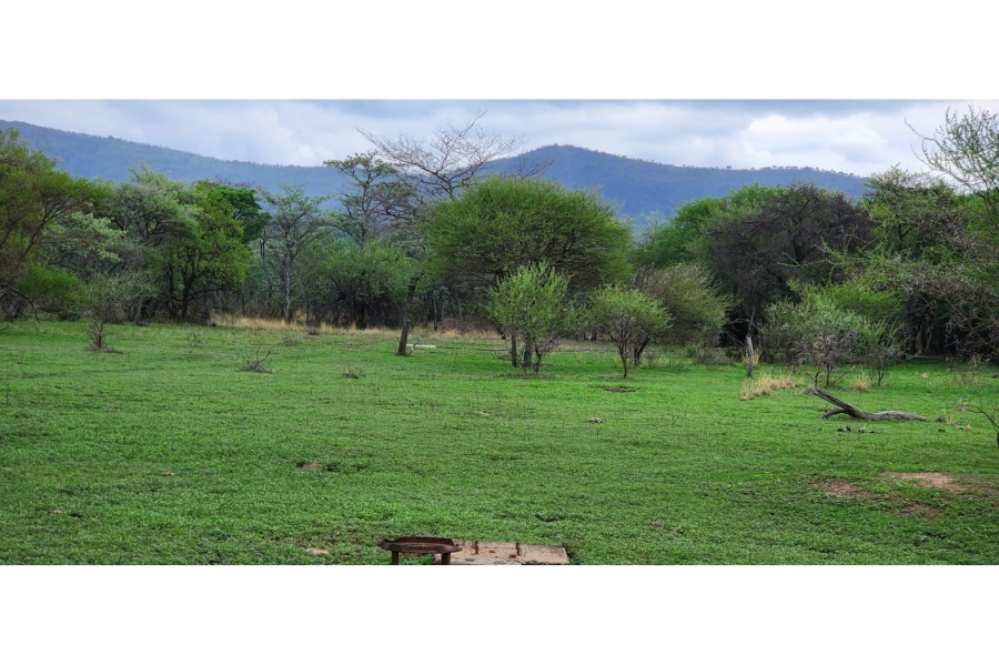 0 Bedroom Property for Sale in Leeupoort Limpopo