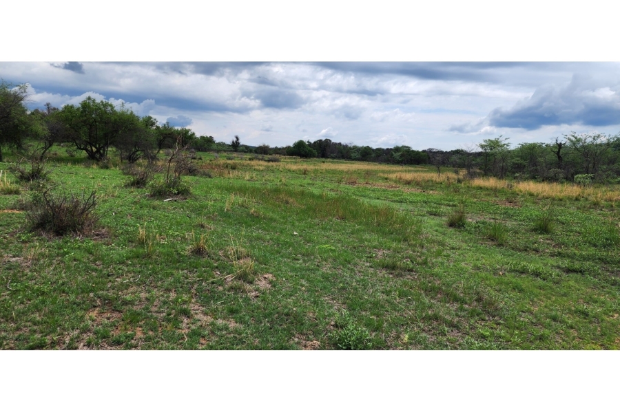 0 Bedroom Property for Sale in Leeupoort Limpopo