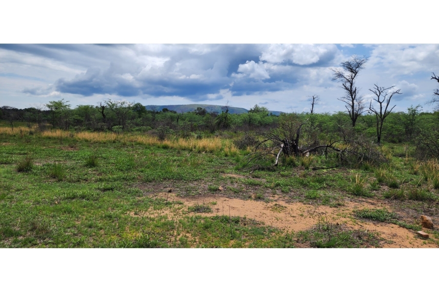 0 Bedroom Property for Sale in Leeupoort Limpopo