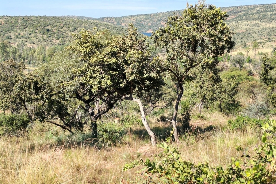 3 Bedroom Property for Sale in Marulani Private Nature Reserve Limpopo