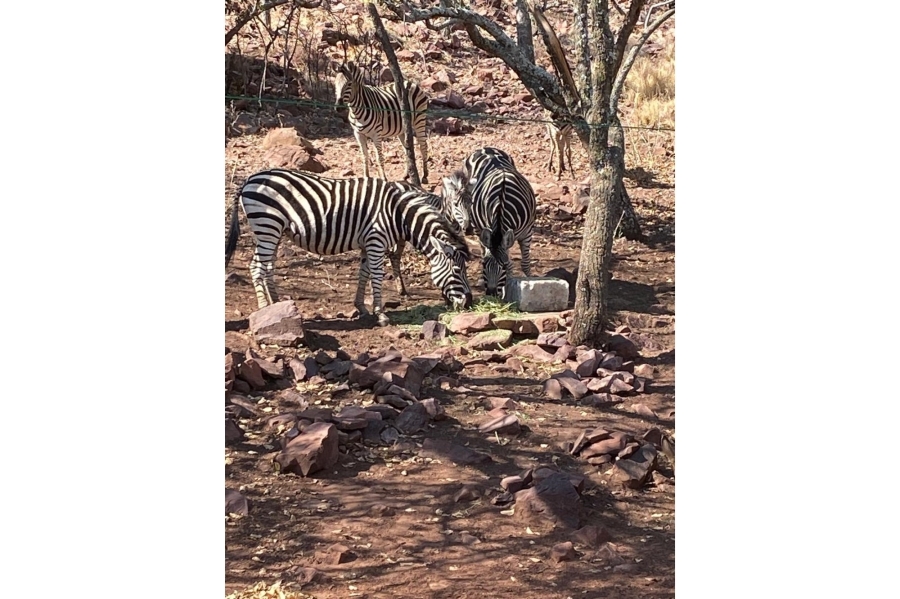 3 Bedroom Property for Sale in Marulani Private Nature Reserve Limpopo