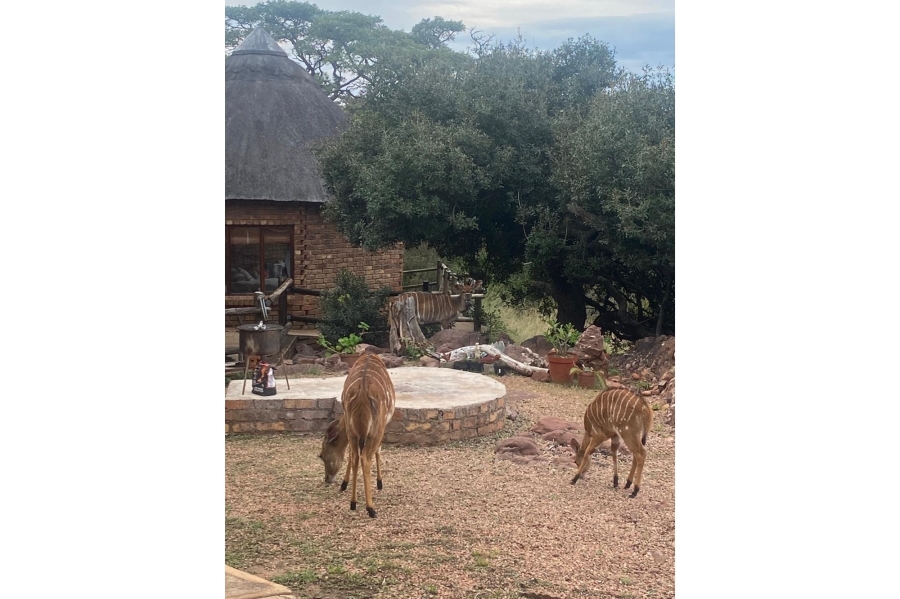 3 Bedroom Property for Sale in Marulani Private Nature Reserve Limpopo