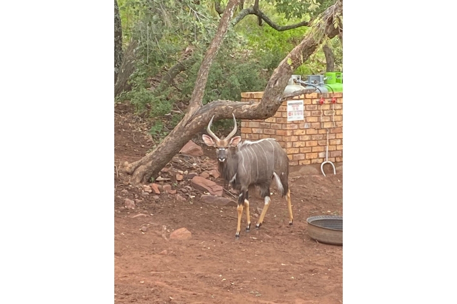 3 Bedroom Property for Sale in Marulani Private Nature Reserve Limpopo