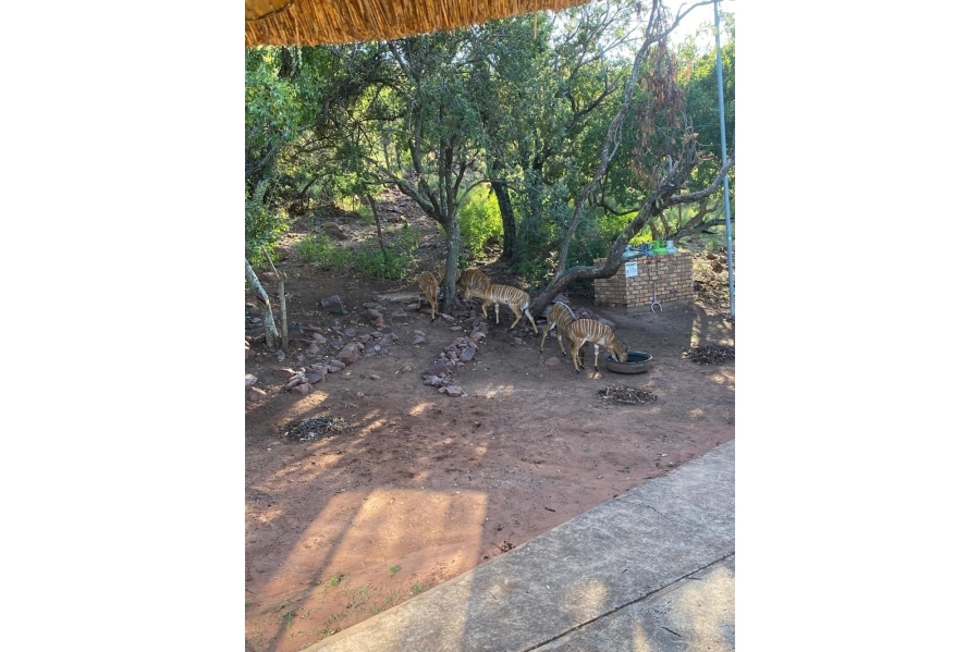 3 Bedroom Property for Sale in Marulani Private Nature Reserve Limpopo