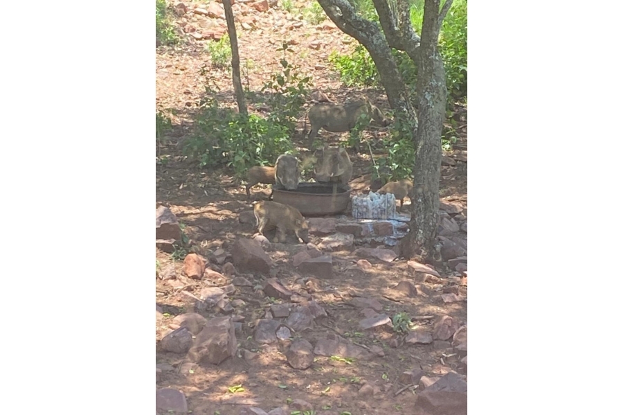 3 Bedroom Property for Sale in Marulani Private Nature Reserve Limpopo