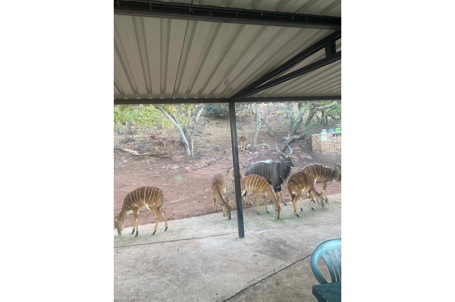 3 Bedroom Property for Sale in Marulani Private Nature Reserve Limpopo