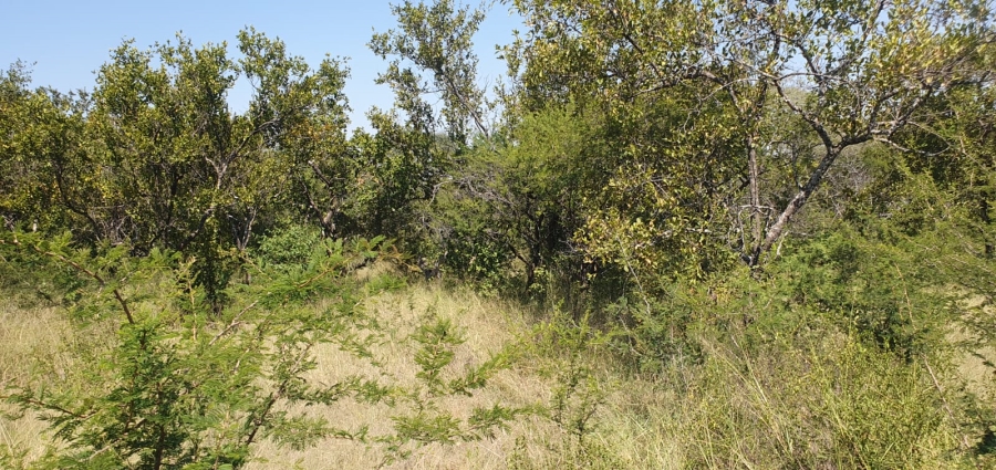 4 Bedroom Property for Sale in Groblersdal Limpopo