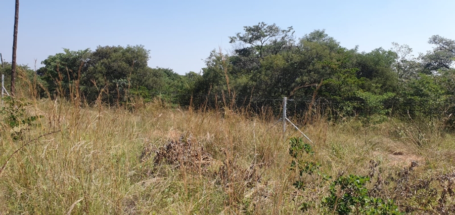 4 Bedroom Property for Sale in Groblersdal Limpopo