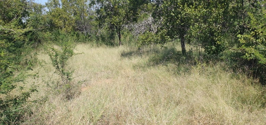 4 Bedroom Property for Sale in Groblersdal Limpopo