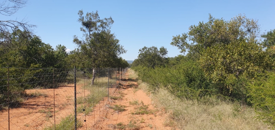 4 Bedroom Property for Sale in Groblersdal Limpopo