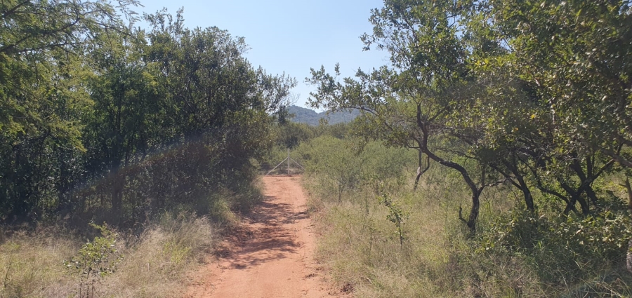 4 Bedroom Property for Sale in Groblersdal Limpopo