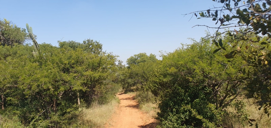 4 Bedroom Property for Sale in Groblersdal Limpopo