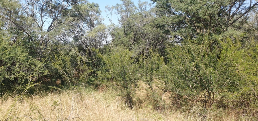 4 Bedroom Property for Sale in Groblersdal Limpopo