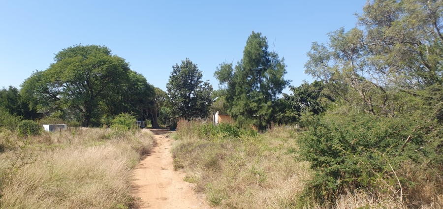 4 Bedroom Property for Sale in Groblersdal Limpopo