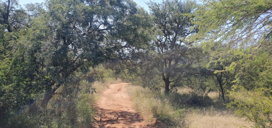 4 Bedroom Property for Sale in Groblersdal Limpopo