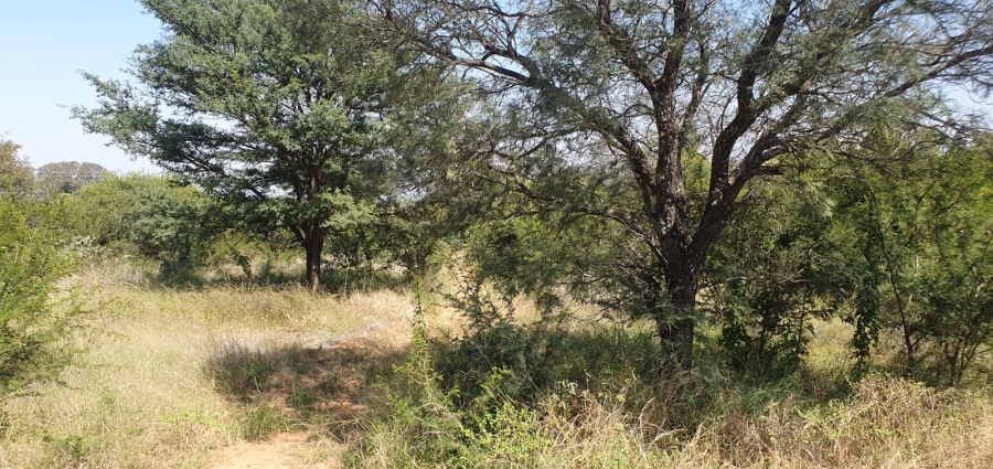 4 Bedroom Property for Sale in Groblersdal Limpopo