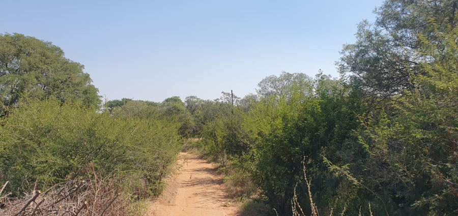 4 Bedroom Property for Sale in Groblersdal Limpopo
