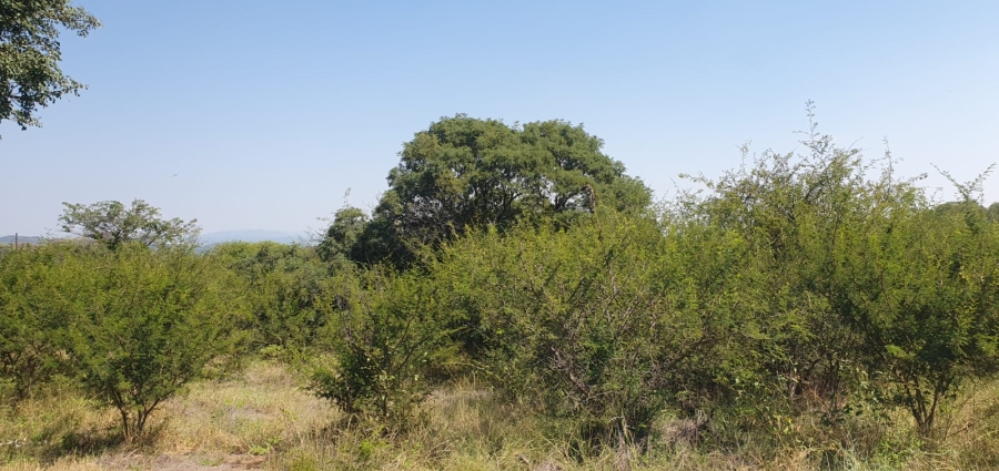 4 Bedroom Property for Sale in Groblersdal Limpopo