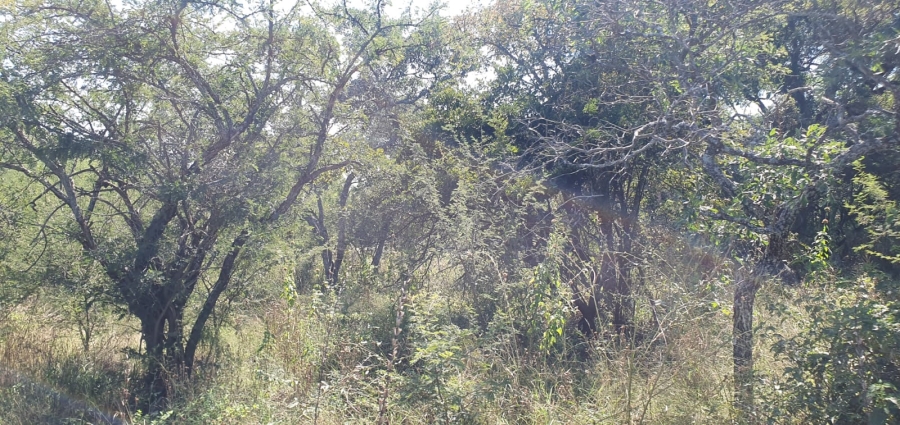4 Bedroom Property for Sale in Groblersdal Limpopo