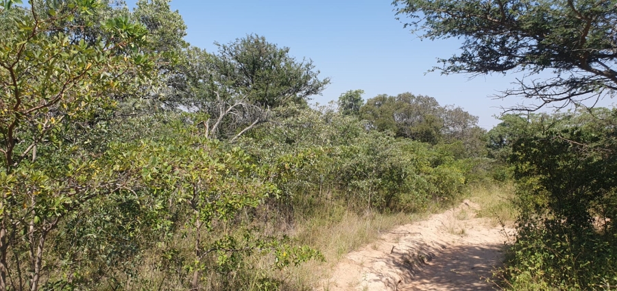 4 Bedroom Property for Sale in Groblersdal Limpopo