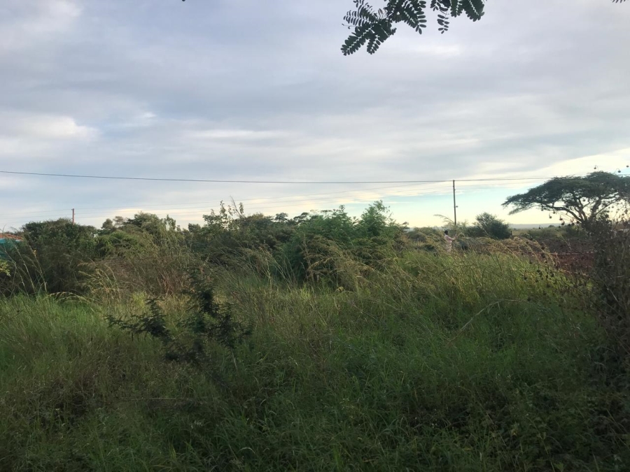 0 Bedroom Property for Sale in Louis Trichardt Limpopo