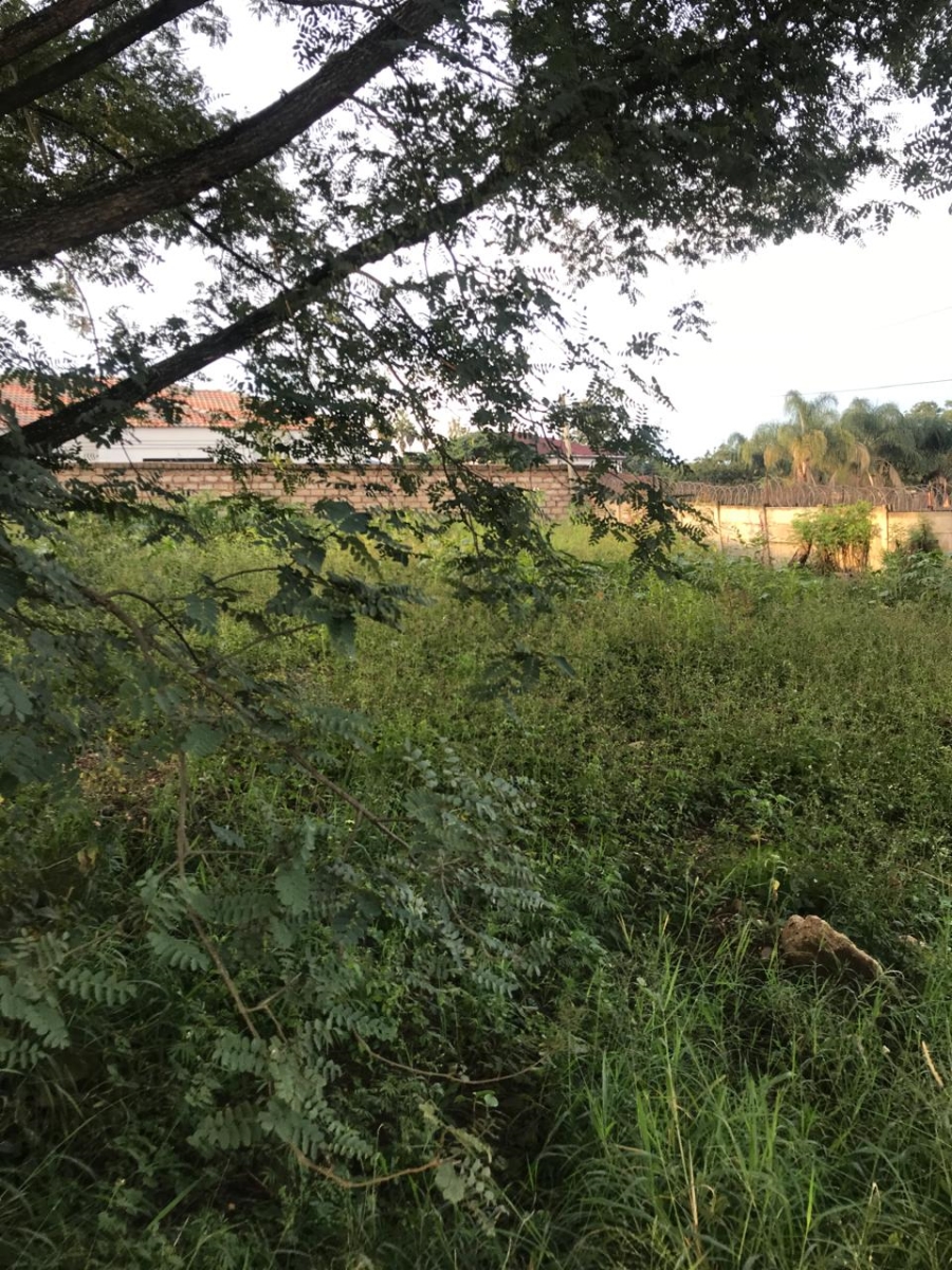 0 Bedroom Property for Sale in Louis Trichardt Limpopo