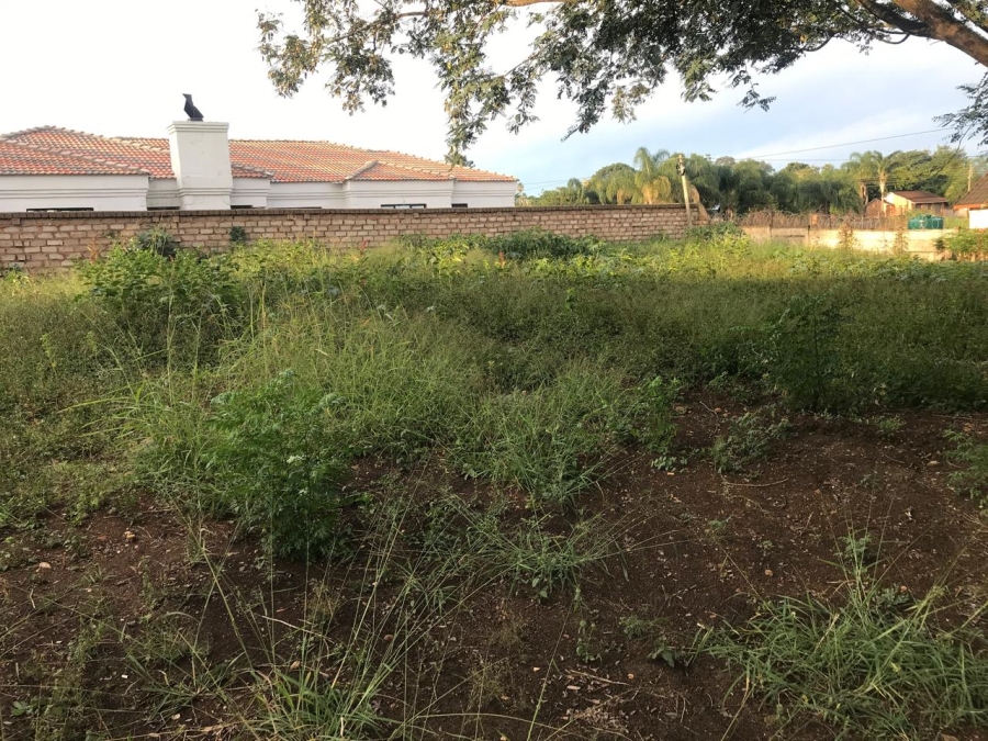 0 Bedroom Property for Sale in Louis Trichardt Limpopo