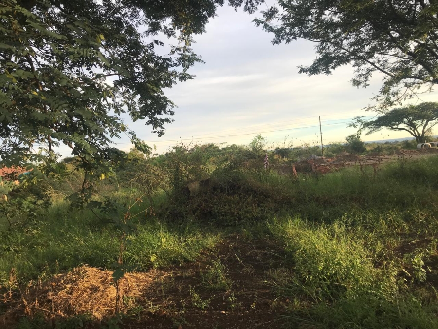 0 Bedroom Property for Sale in Louis Trichardt Limpopo
