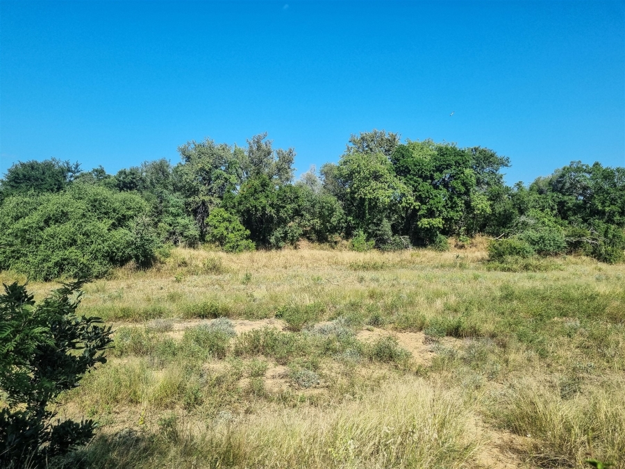0 Bedroom Property for Sale in Moditlo Wildlife Estate Limpopo